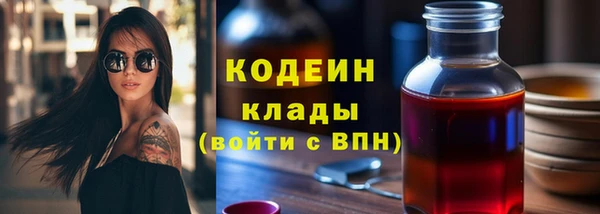 стафф Гусев