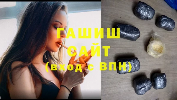 соль ск Ельня