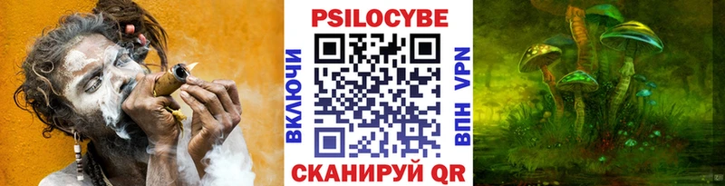 Псилоцибиновые грибы мухоморы магазин блэк спрут как зайти Нижний Ломов