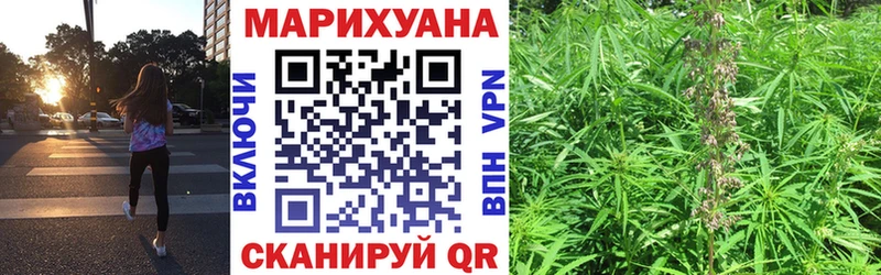 Конопля гибрид Нижний Ломов